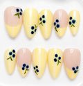 Florence handcrafted press-on nails in yellow & blueberry | Eleanor May Collective